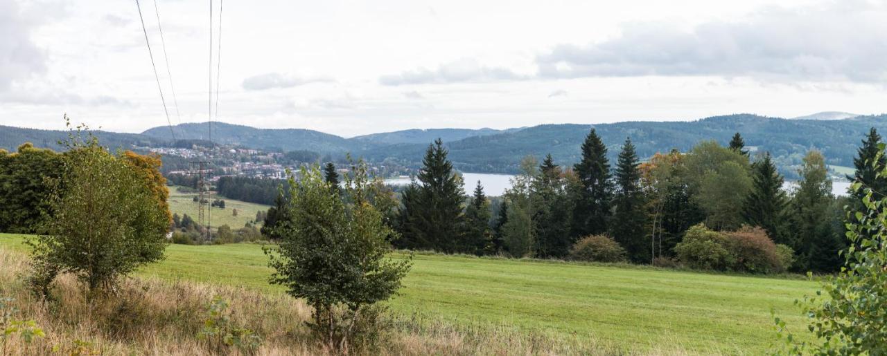 Hansenka * Lipno nad Vltavou